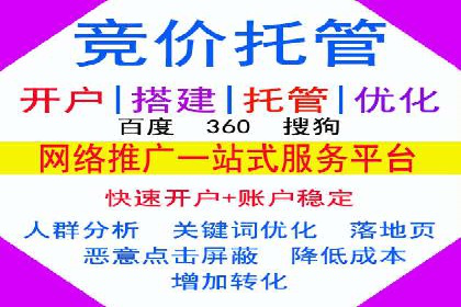 行业领先企业的SEM广告策略与效果分析